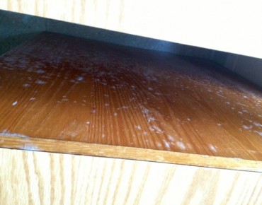 Mold in a Danieley Center Apartment.
